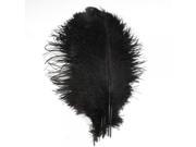 10pcs Exquisite Decorative Ostrich Feather 50 55 Black