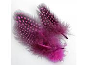 50pcs Assorted Beautiful Spotted Hen Hair Extension Feathers Rose