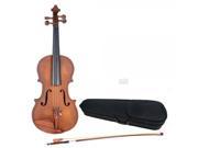 HJJ4 1 4 Rosewood Classical Violin Dark Golden with Case Bow Rosin