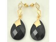 Graceful Water Drop Shape Rhinestone Acrylic Earrings Black