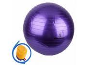 65cm Pilates Excercise Yoga Body Balance Ball Pump Purple