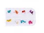 12pcs Real Dried Flower Nail Art Decoration 6