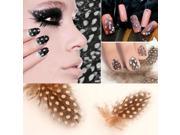 New Top Grade 5PCS Dot Style Feather Pearl Feather Nail Art Decoration 2 Brown