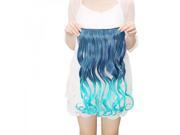60cm 5 Clip in Fashion Women Chemical Fiber Long Curly Hair Wig Multicolored ch023 t2