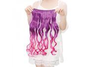 60cm 5 Clip in Fashion Women Chemical Fiber Long Curly Hair Wig Multicolored ch023 t1