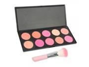 10 Color Natural Fine Makeup Cosmetic Blusher Palette Brush Pack