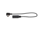 10Pin Mini USB to 3.5mm Mic Adapter Cable for GoPro HERO4 3 3 2 Length 16cm Black