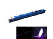 1mw 405nm Purple Beam Laser Stage Pen Built in Battery Blue