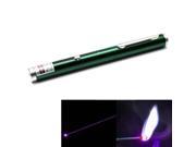 1mw 405nm Purple Beam Laser Stage Pen Built in Battery Green