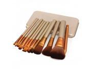 12pcs Professional Makeup Cosmetic Brushes Set With Metal Boxes