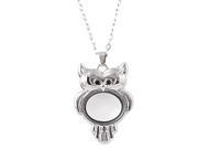 Lovely Owl Glass Picture Photo Frame Locket Necklace Pendant Silver