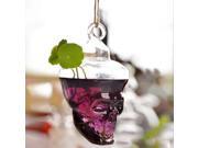 Hydroponic Plants Garden Flower Pot Skull Shape Hanging Glass Vase