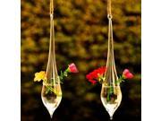 Water Drop Shape Hanging Glass Vase Hydroponic Plants Garden Flower Pot