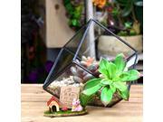 DIY Micro Landscape Cube Greenhouse Glass Succulent Plants Flower Pot