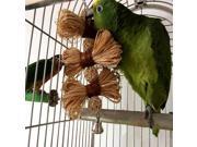 Pet Parrot Conure Cockatiel Parakeet Budgie Bird Chew Bites Swing Cages Toys