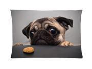 Dogs Pug Animals Hungry Style Pillowcase Custom 20x30 Inch Zippered Pillow Case
