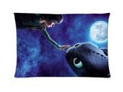 How To Train Your Dragon Style Pillowcase Custom 20x30 Inch Zippered Pillow Case