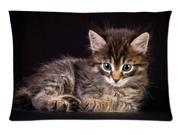 Cats Kittens Glance Animals Style Pillowcase Custom 20x30 Inch Zippered Pillow Case