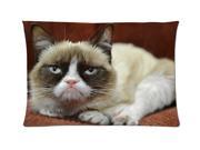 Funny Face Of Grumpy Cat Style Pillowcase Custom 20x30 Inch Zippered Pillow Case