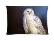Owls Birds Bubo scandiacus Nyctea scandiaca Animals Style Pillowcase Custom 20x30 Inch Zippered Pillow Case