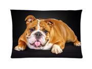 Dogs Glance Animals Bulldog Style Pillowcase Custom 20x30 Inch Zippered Pillow Case