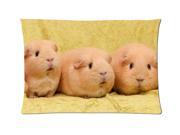 Guinea Pigs Style Pillowcase Custom 20x30 Inch Zippered Pillow Case