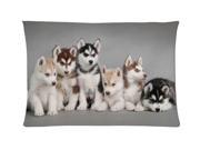 Siberian Husky Style Pillowcase Custom 20x30 Inch Zippered Pillow Case