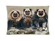Pug Dog Game of Thrones Style Pillowcase Custom 20x30 Inch Zippered Pillow Case