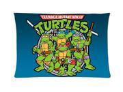 Teenage Mutant Ninja Turtles TMNT Style Pillowcase Custom 20x30 Inch Zippered Pillow Case