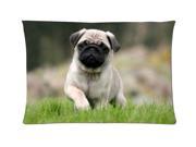 Pug Dog Puppy Grass Style Pillowcase Custom 20x30 Inch Zippered Pillow Case