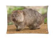 Wombat Animals Style Pillowcase Custom 20x30 Inch Zippered Pillow Case