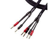 Tributaries Terminated Bi Wire Speaker Cable 8ft