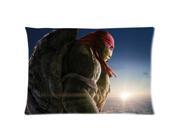 Class Animated Film Series&Teenage Mutant Ninja Turtles Background Comfortable Cushion CasePillowcases 20x30 Inch (50% cotton+50% polyester ,Two Side Printing,Z Class Animated Film Series&Teenage Mutant Ninja Turtles Background Comfortable Cushion CasePillowcases 20x30 Inch (50% cotton+50% polyester ,Two Side Printing,Z
