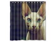 Custom Sphynx Cat Waterproof Shower Curtain High Quality Bathroom Curtain With Hooks Size 66 W *72 H