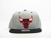 NBA Mitchell Ness Chicago Bulls Feather Grey Big Logo Snapback