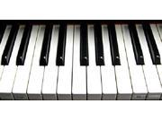Piano Keyboard Aluminum License Plate SB LP1334