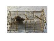 Galvanized Steel Rat Mouse Trap Triggered Cage No Poison Easy Set Up Pedal Spring