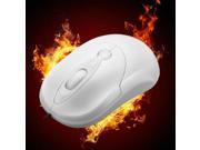 Candy Color USB Wired Office Mouse Scroll Wheel 3 Button 1000DPI For Computer