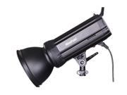 TS 300 300W Studio Strobe Photo Flash Lamp head for Portrait Lighting kit