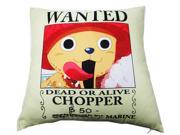One Piece Lovely Creative Square Anime Cartoon Pattern Soft Cotton Pillow01