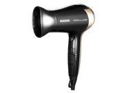 Professional salon hair dryer Flyco thermostat anion hair dryer cold wind power hairdryer FH6231