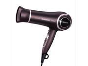 Flyco FH6621 hair dryer 2200W hot and cold air conditioner thermostat Quiet Hair Dryer