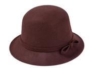 Bow dome woolen women pure color hat Brown One Size
