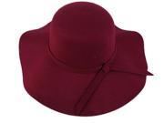 Wool hat hat Wine Red One Size