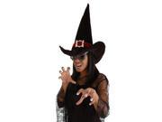 Witch Black Adult Costume Hat
