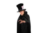 Magician with Rabbit Adult Costume Top Hat