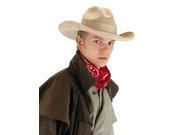Cowboy Gambler Beige Costume Hat