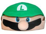 Super Mario Bros Luigi Beanie