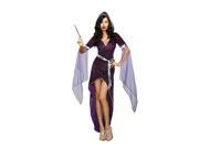 Sorcery Seduction Sorcerer Adult Costume Large