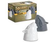 Squirrel Salt Pepper Shakers